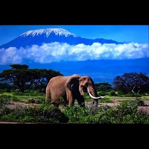 Meet your Posher, Vincent